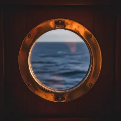@seagull-thrive