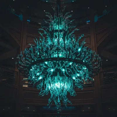 @leeward-dazzling