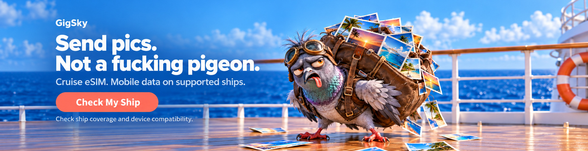 Send pics. Not a fucking pigeon.  Gigsky - Check Your Ship