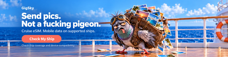 Send pics. Not a fucking pigeon.  Gigsky - Check Your Ship