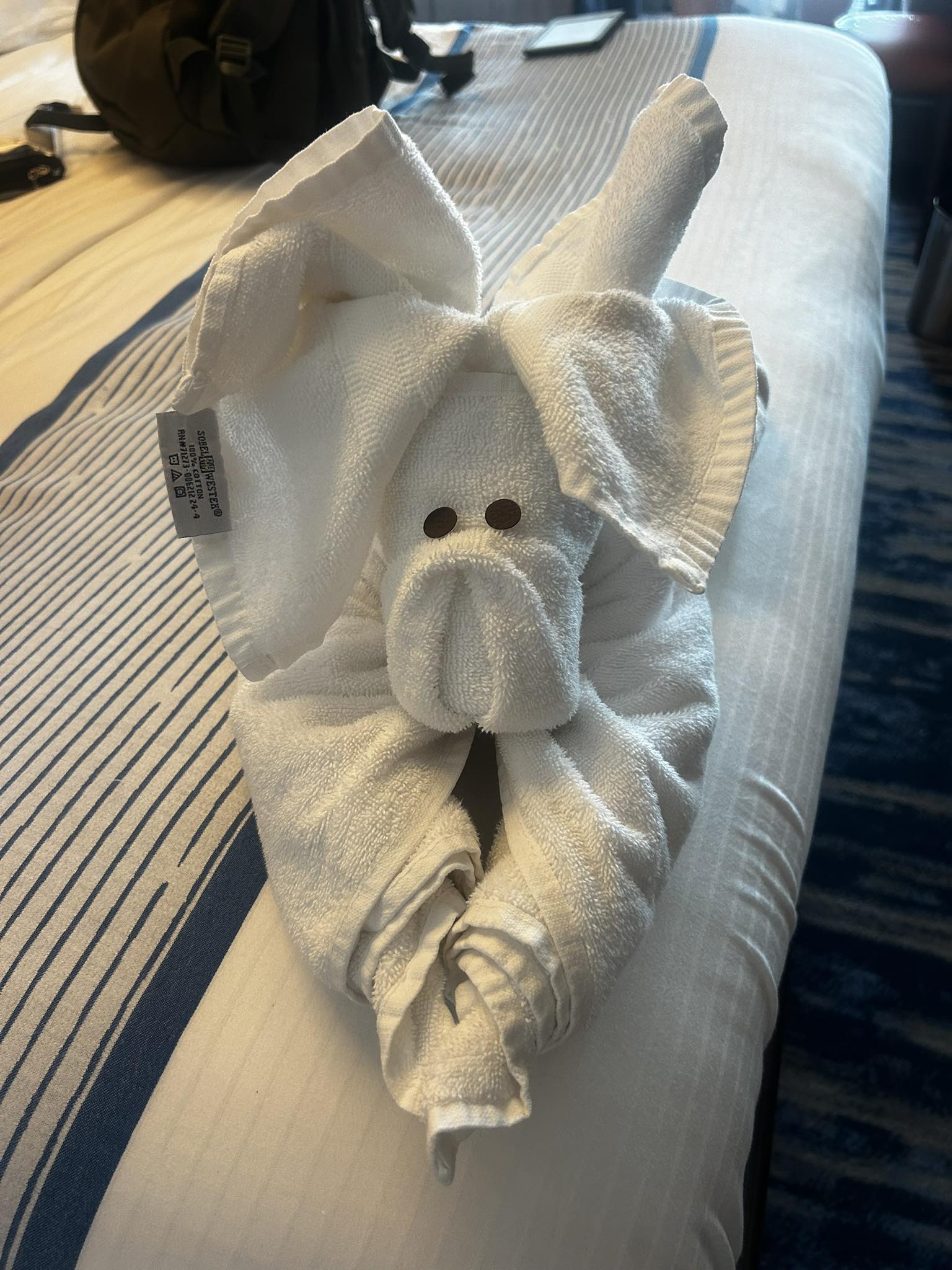 Carnival Jubilee cruise review photo - Carnival Jubilee Was a Good Time — Just Wish I Met More People